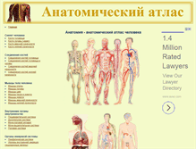 Tablet Screenshot of anatomy.tj